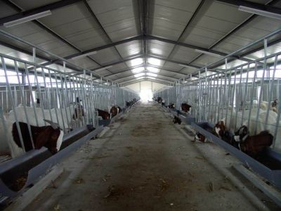 鋼塑復合板畜牧場吊頂案例